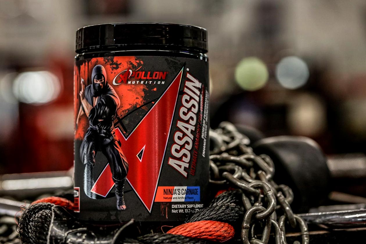 apollon nutrition assassin v7