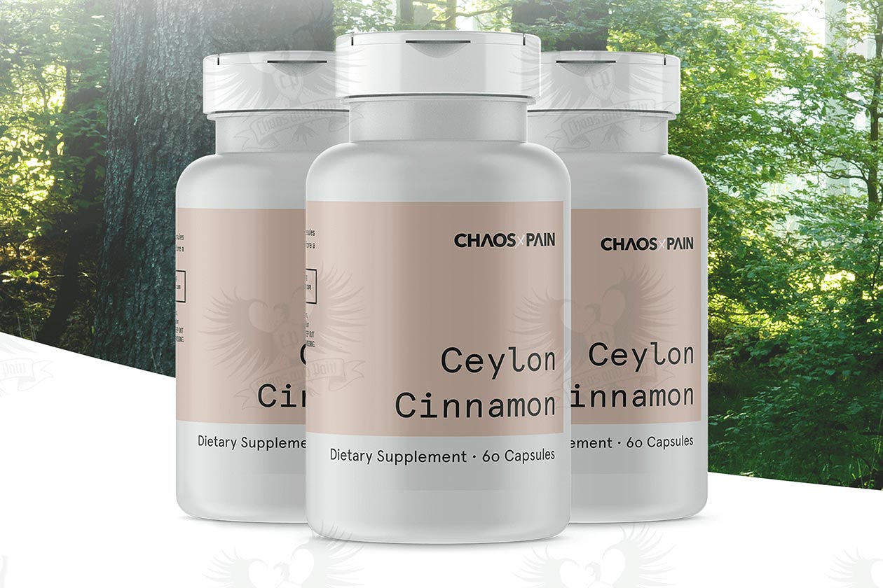 chaos and pain ceylon cinnamon