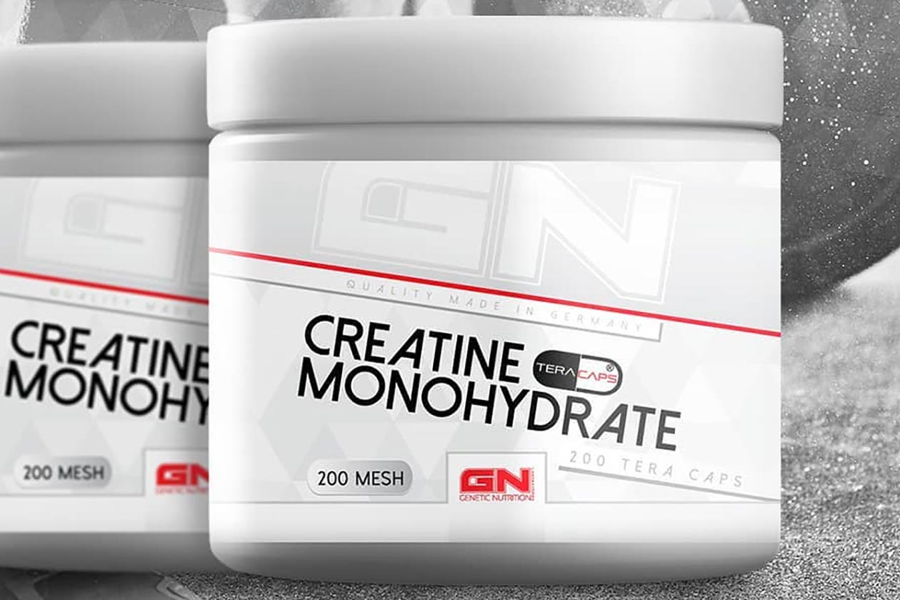 gn labs creatine monohydrate teracaps