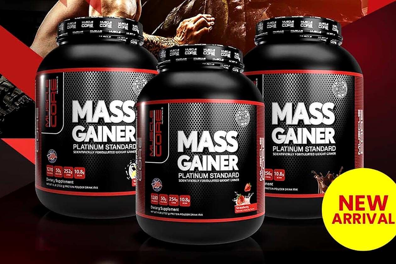 muscle core nutrition mass gainer