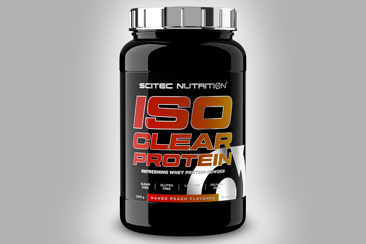 scitec iso clear protein