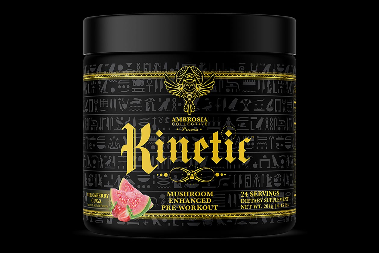 Ambrosia Kinetic Mushroom Enhanced Pre-Workout - Watermelon Candy