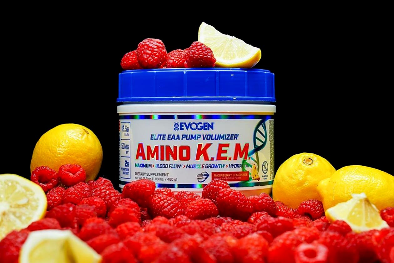 evogen raspberry lemonade amino kem