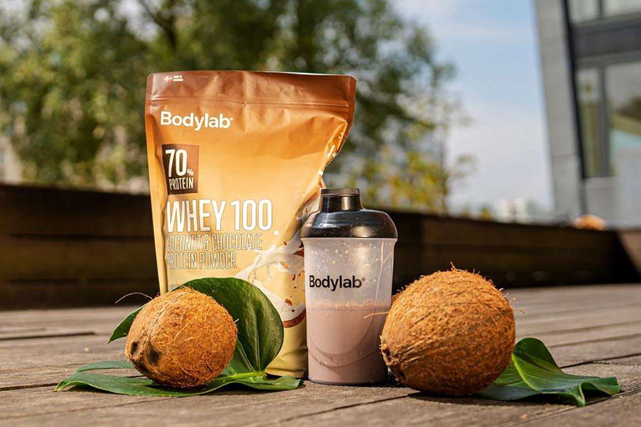 bodylab coconut and chocolate whey 100