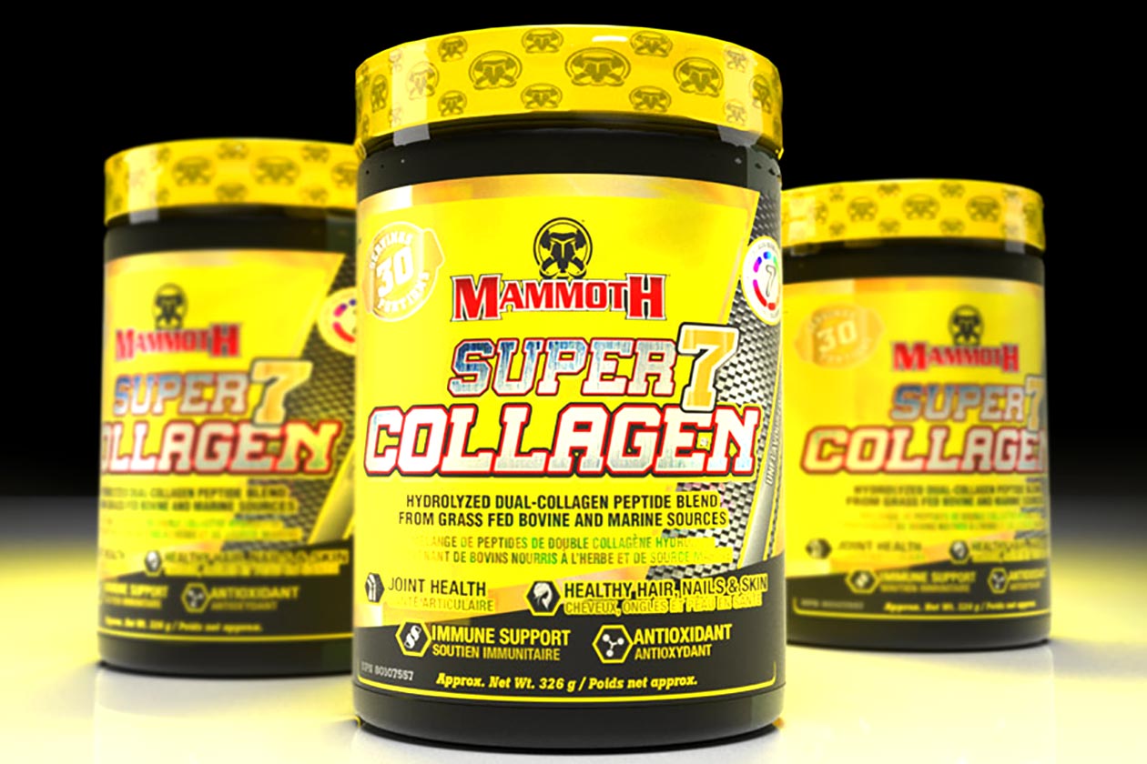 mammoth super 7 collagen