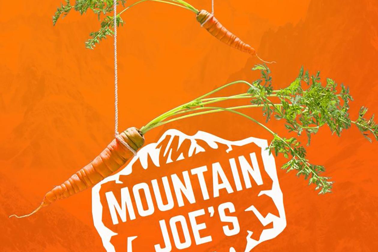 mountain joes teases carrot cake