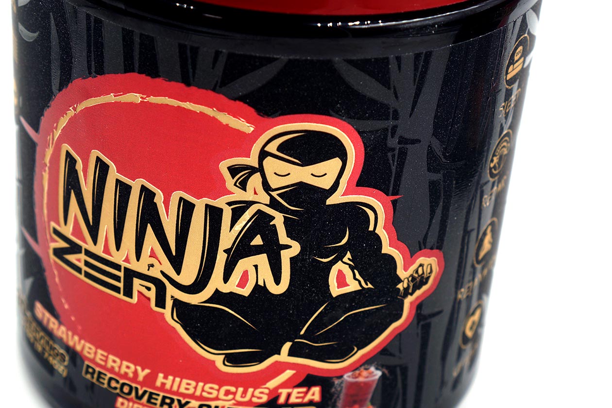 Ninja Zen Review