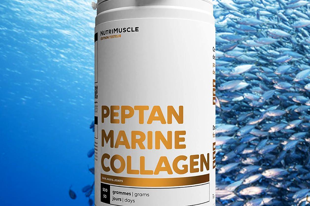 nutrimuscle peptan marine collagen