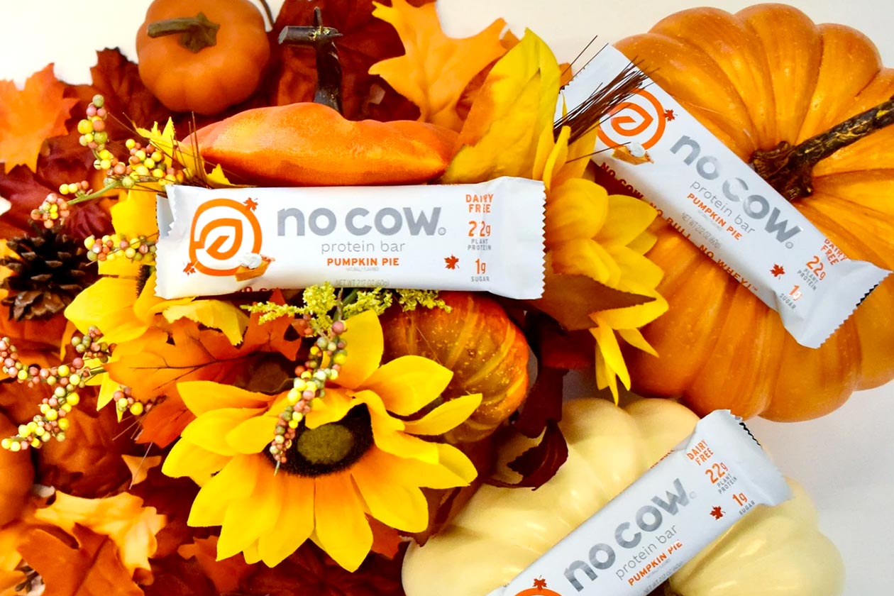 No Cow Pumpkin Pie Protein Bar