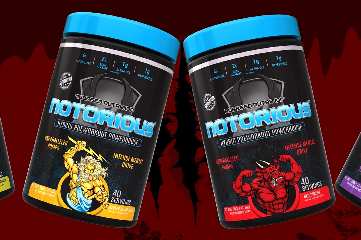 Nubreed Nutrition Notorious