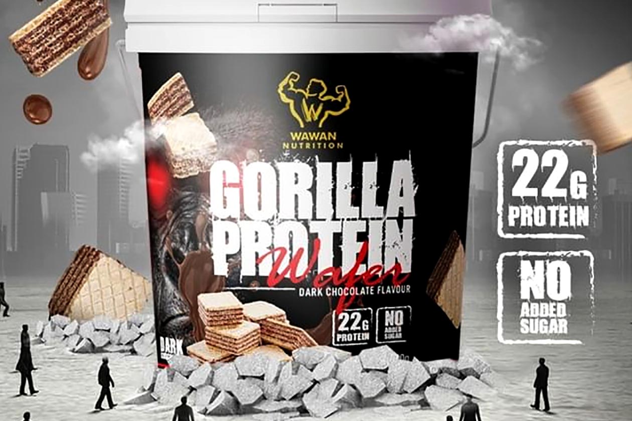 Wawan Gorilla Protein Wafer