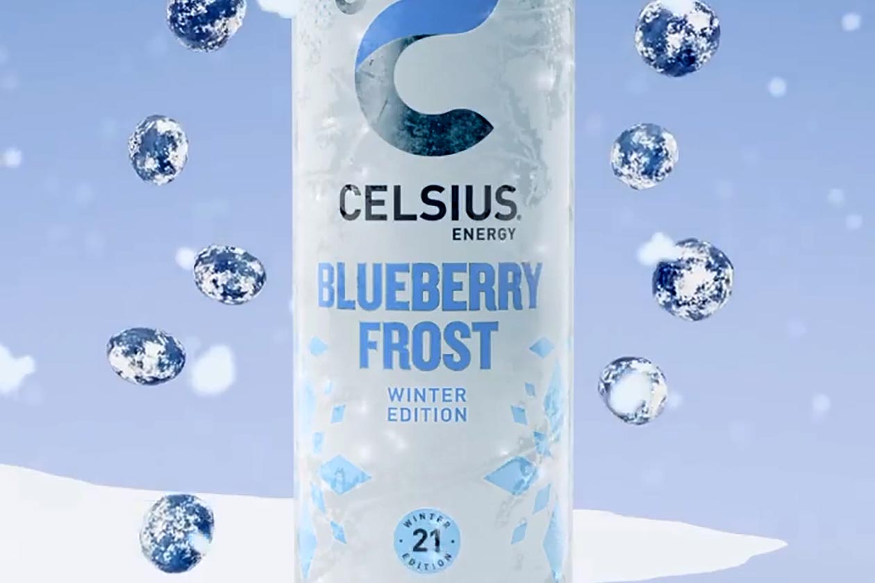 Celsius Blueberry Frost Return For 2021