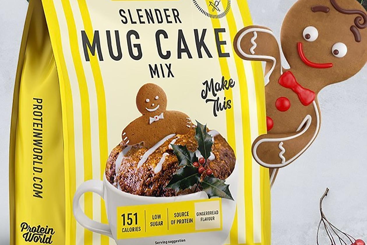 Protein World Gingerbread Slender Mug Cake Mix