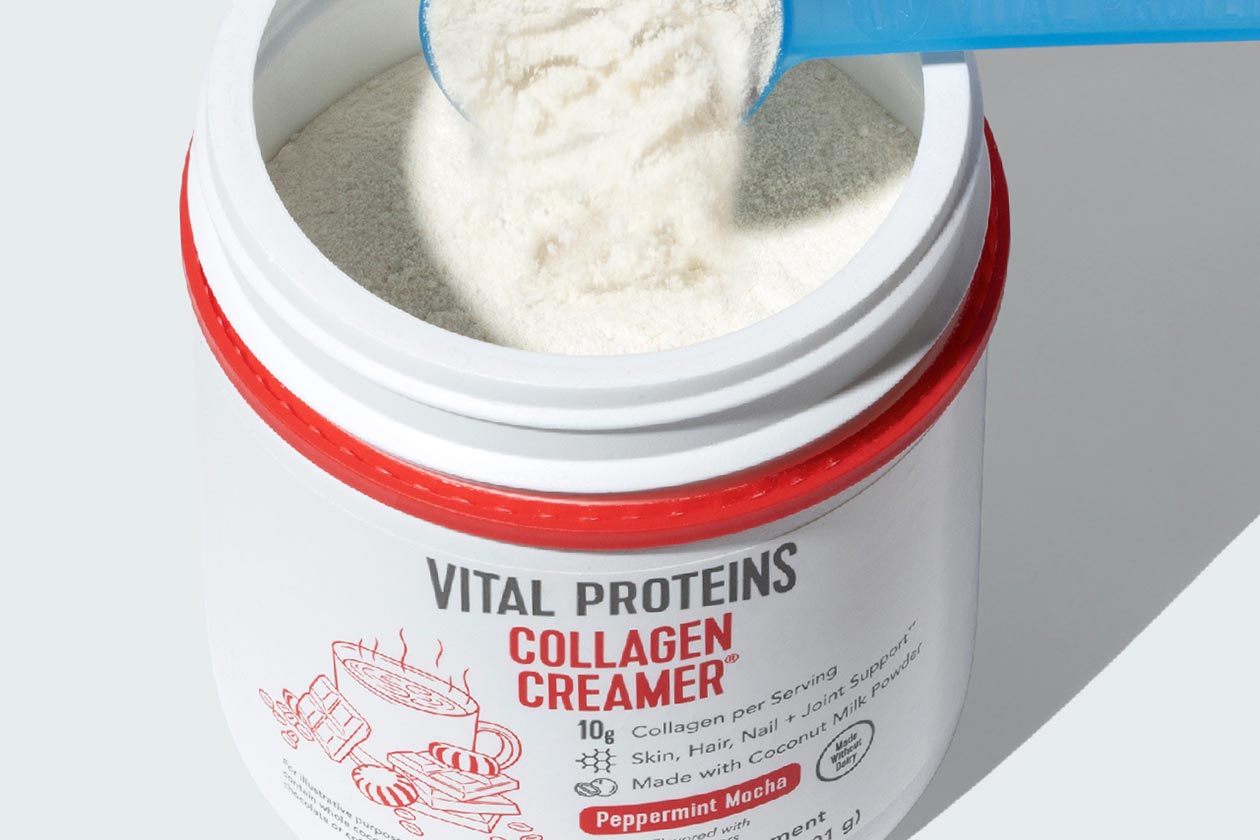 Vital Proteins Peppermint Mocha Collagen Creamer