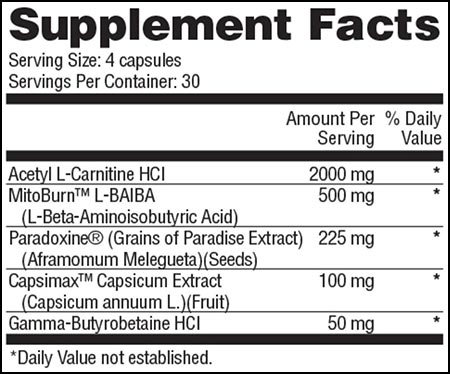 Apollon Nutrition Molotov Label