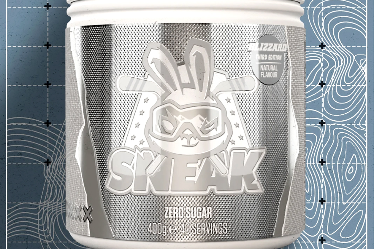 Blizzard Third Edition Sneak