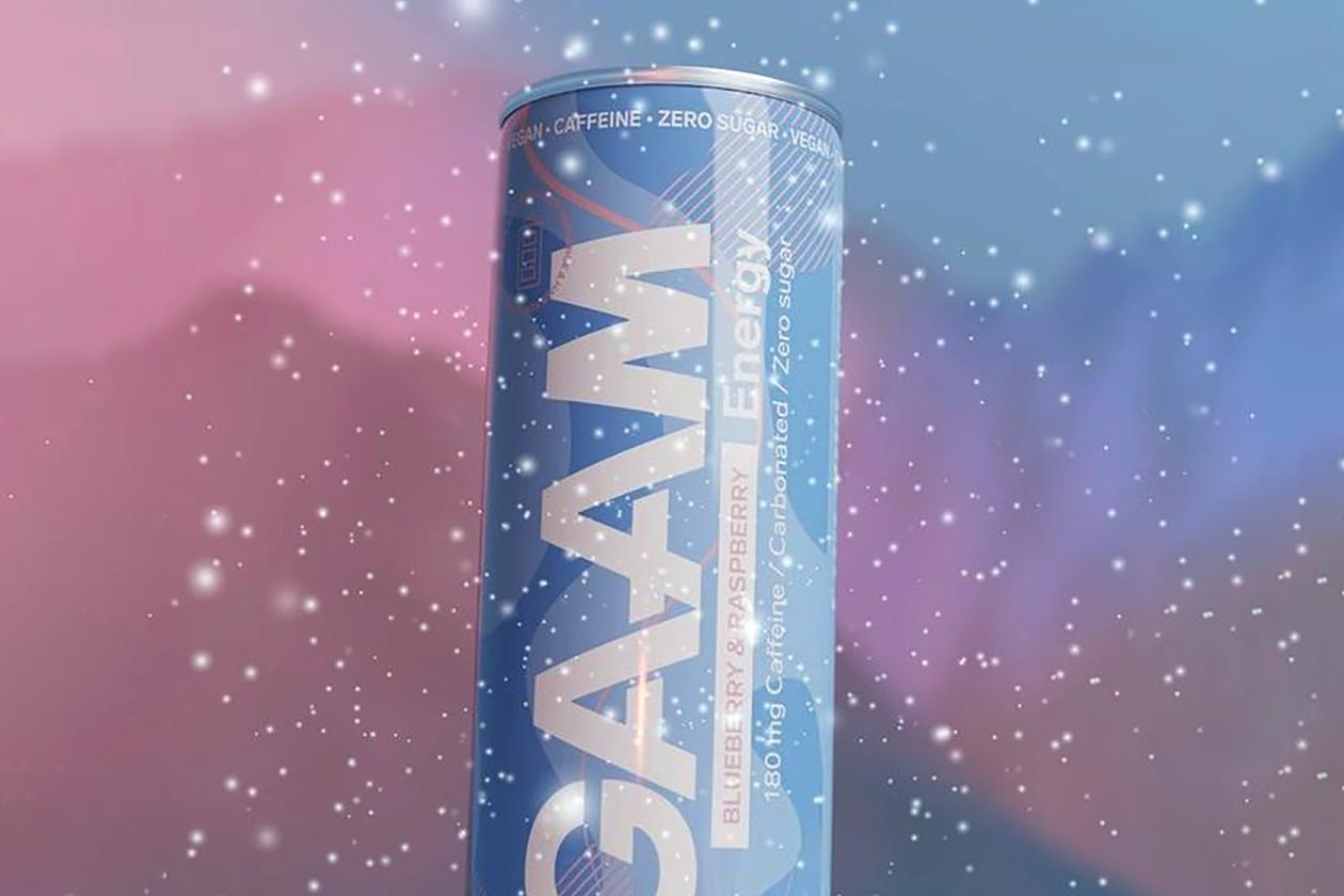 Blueberry Raspberry Gaam Energy