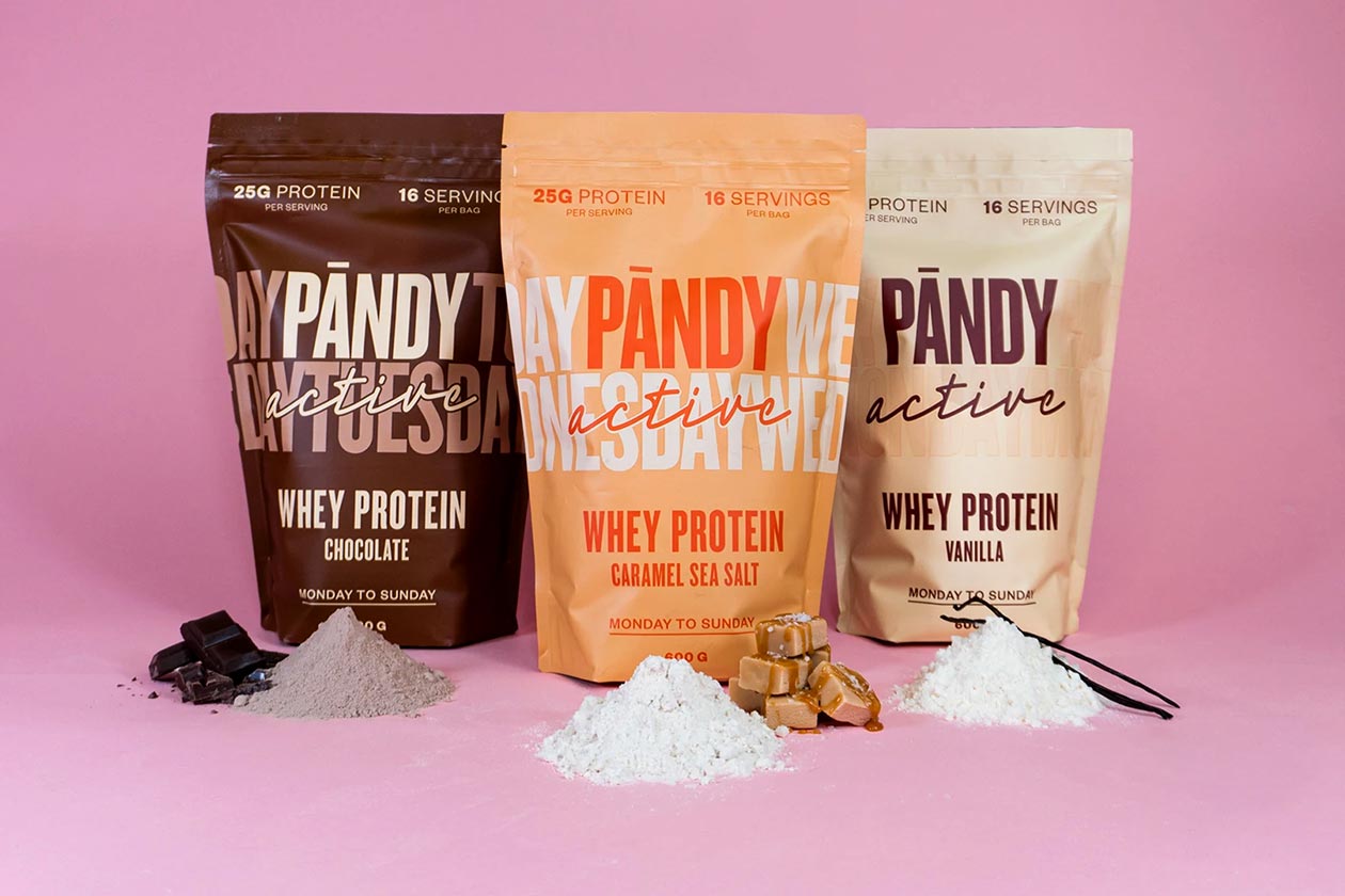 Pandy Active Whey Protein