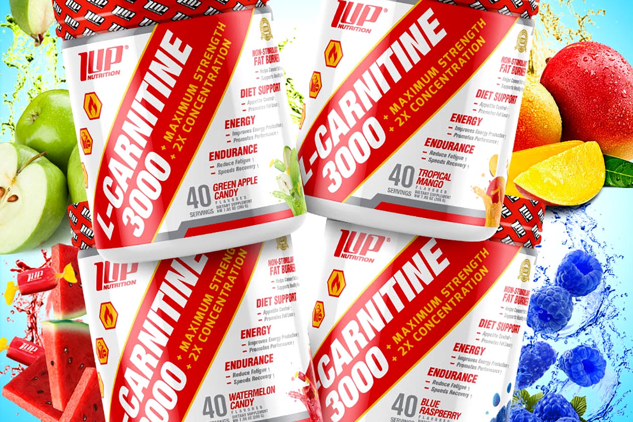 1up Nutrition Carnitine 3000