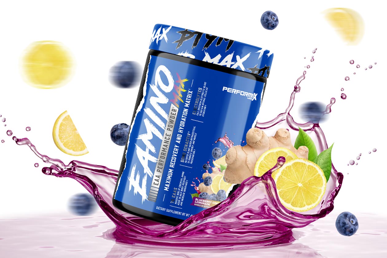 Blueberry Ginger Lemonade Eamino Max