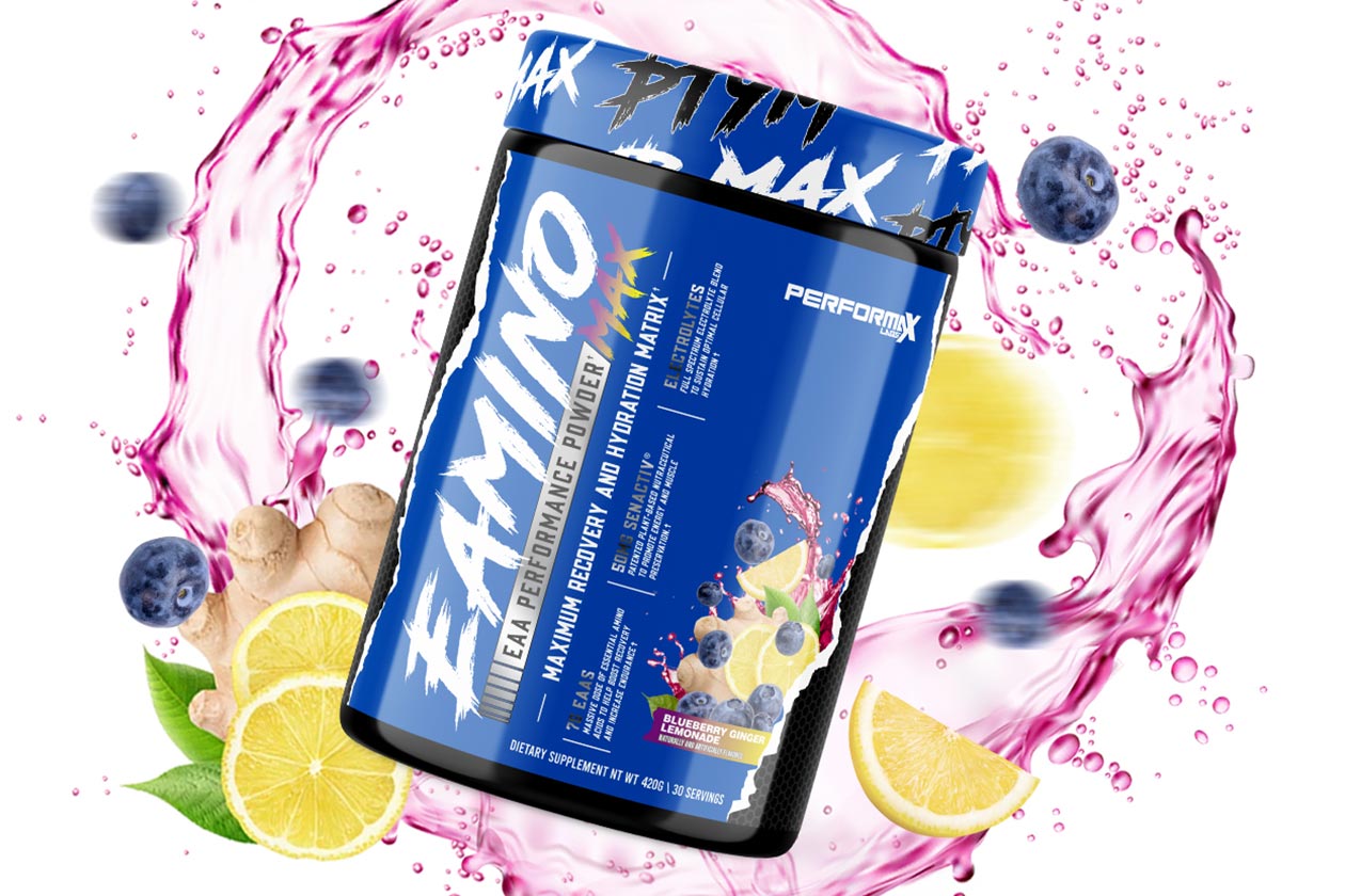 Blueberry Ginger Lemonade Eamino Max