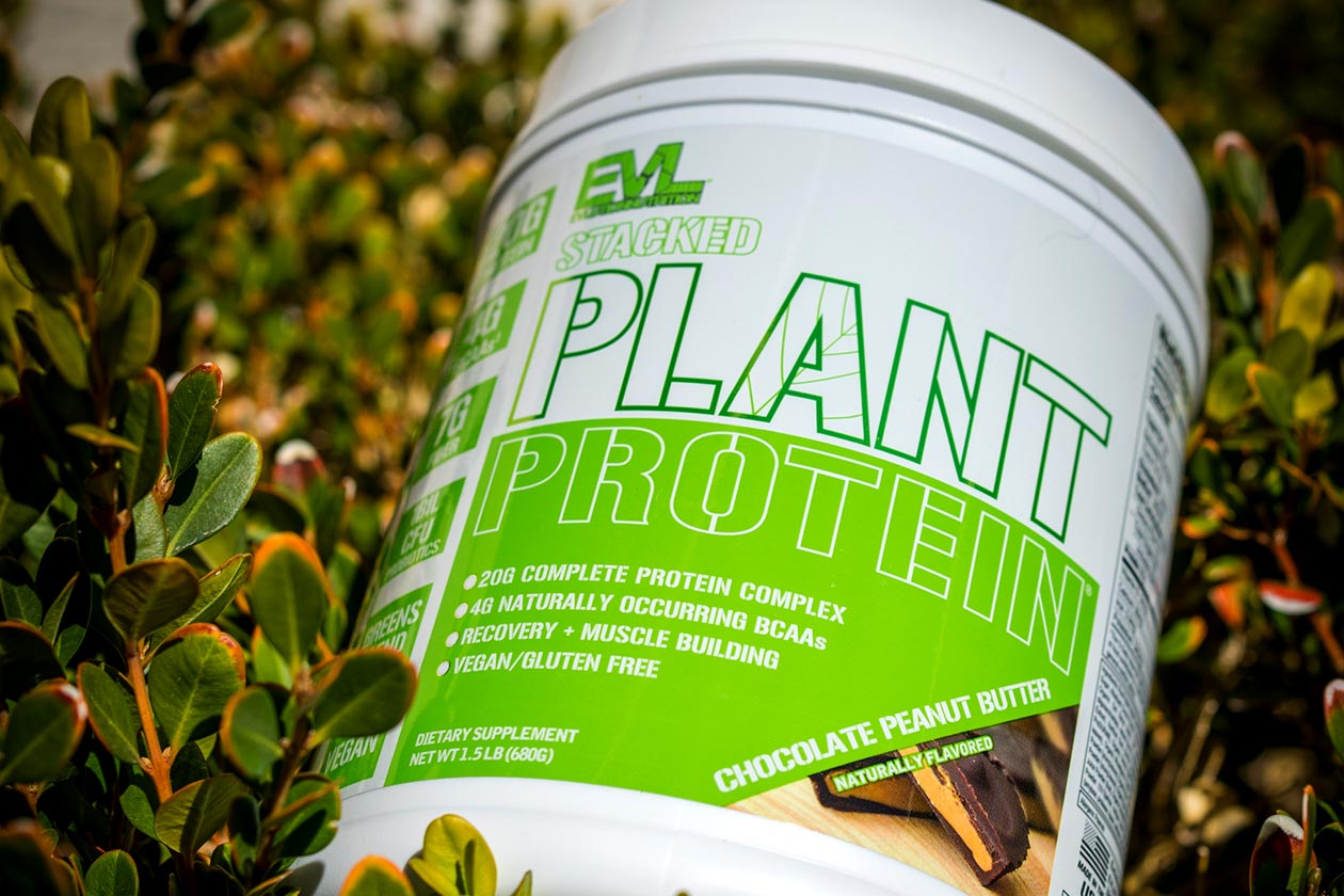 Evl Chocolate Peanut Butter Stacked Plant Protein