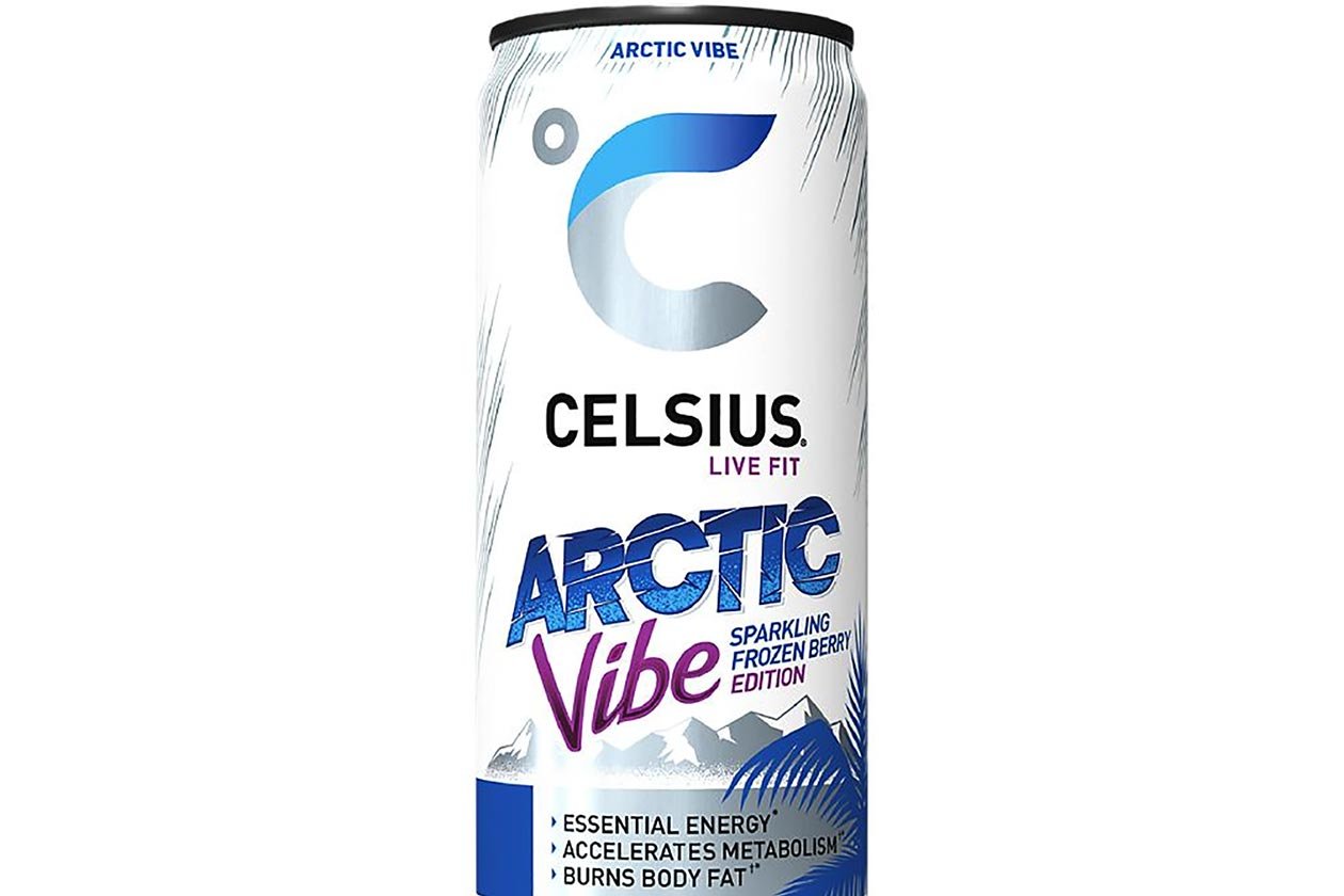 Arctic Vibe Celsius Energy Drink