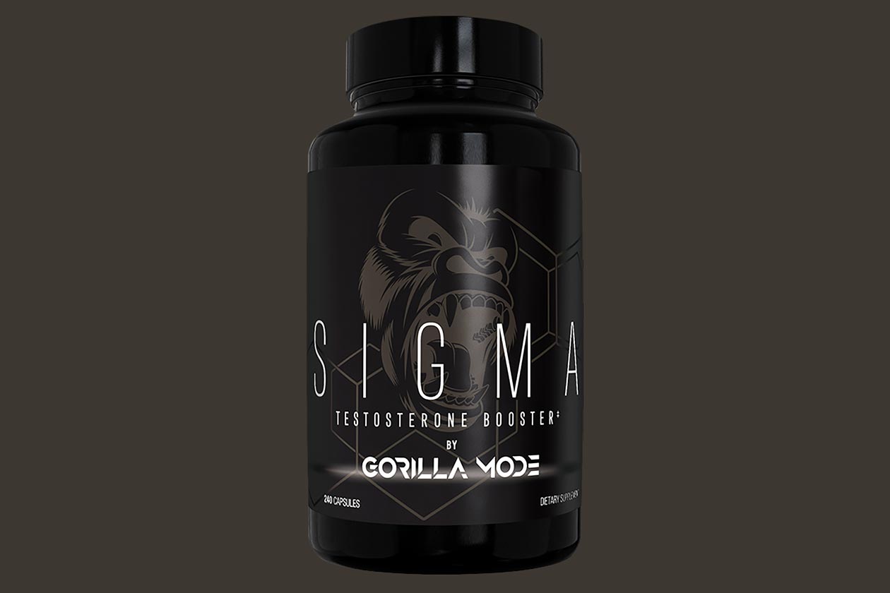 Gorilla Mind Sigma