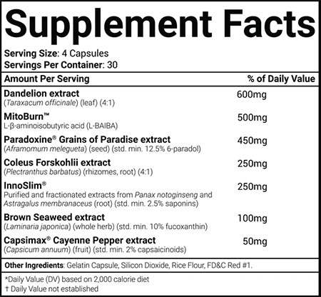 Morphogen Nutrition Morphoburn Label