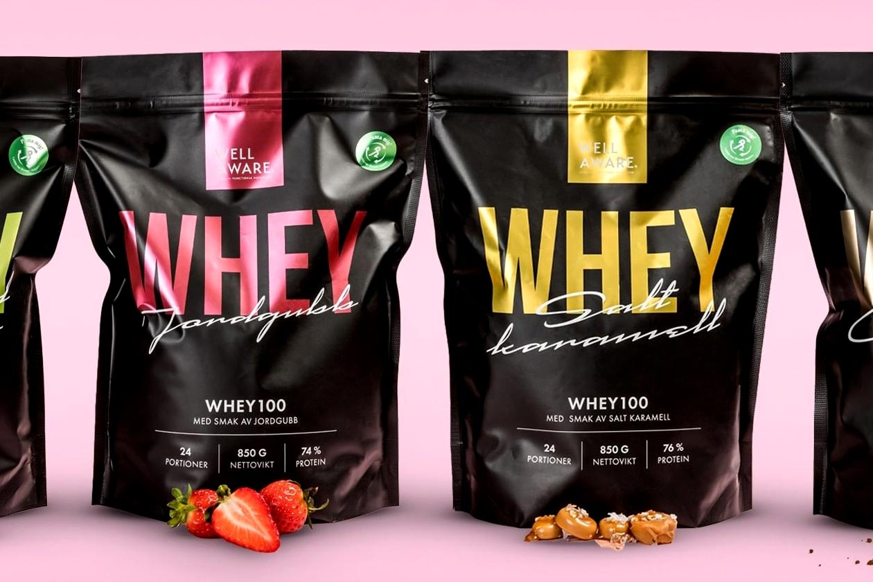 Wellaware Nutrition Whey 100