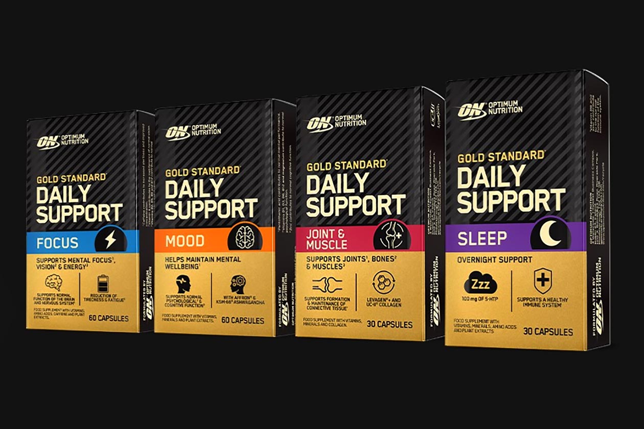 Optimum Nutrition Gold Standard Daily Support