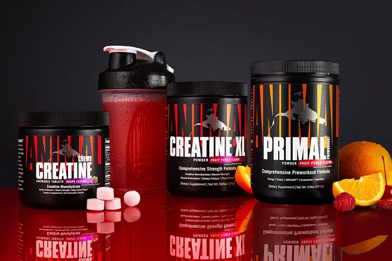 Animal Creatine XL