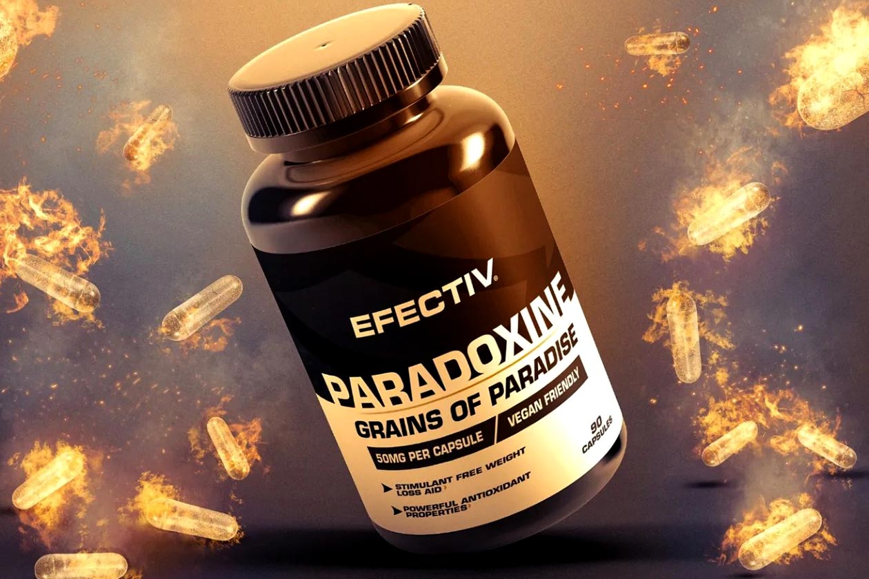 Efectiv Nutrition Paradoxine