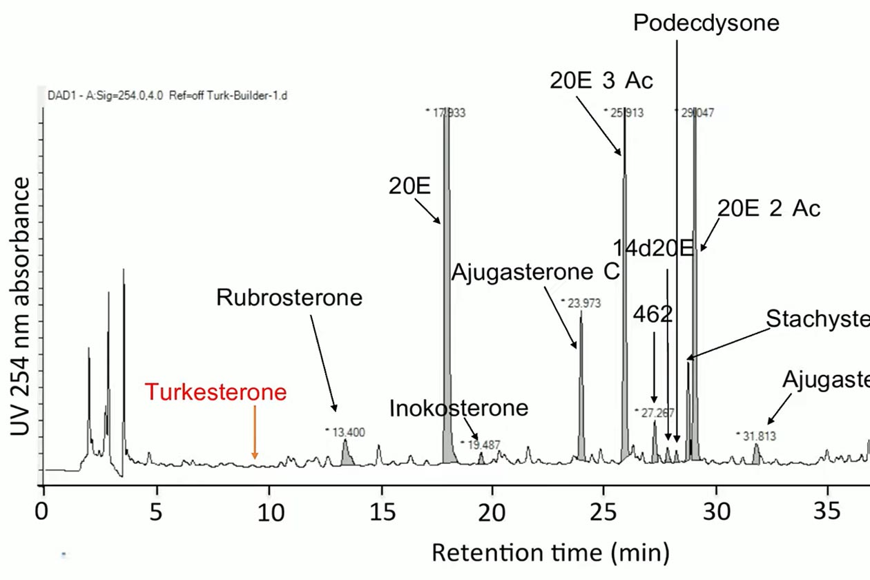 Htlt Turk Builder Lab Tests