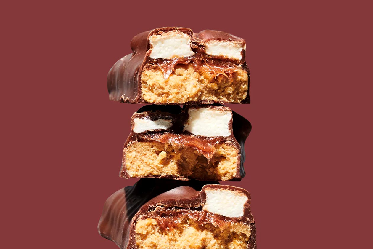 Misfits Chocolate Smores Protein Bar