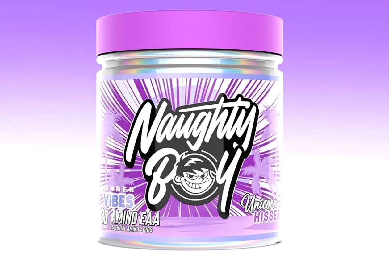 Naughty Boy Summer Vibes Amino Eaa