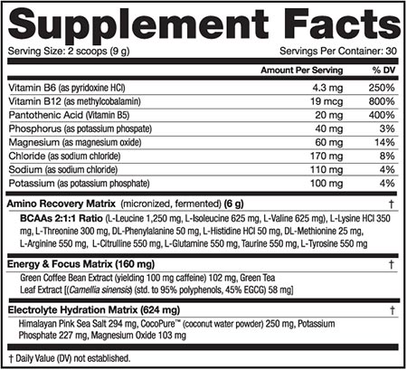 Nutrabio Amino Kick Label