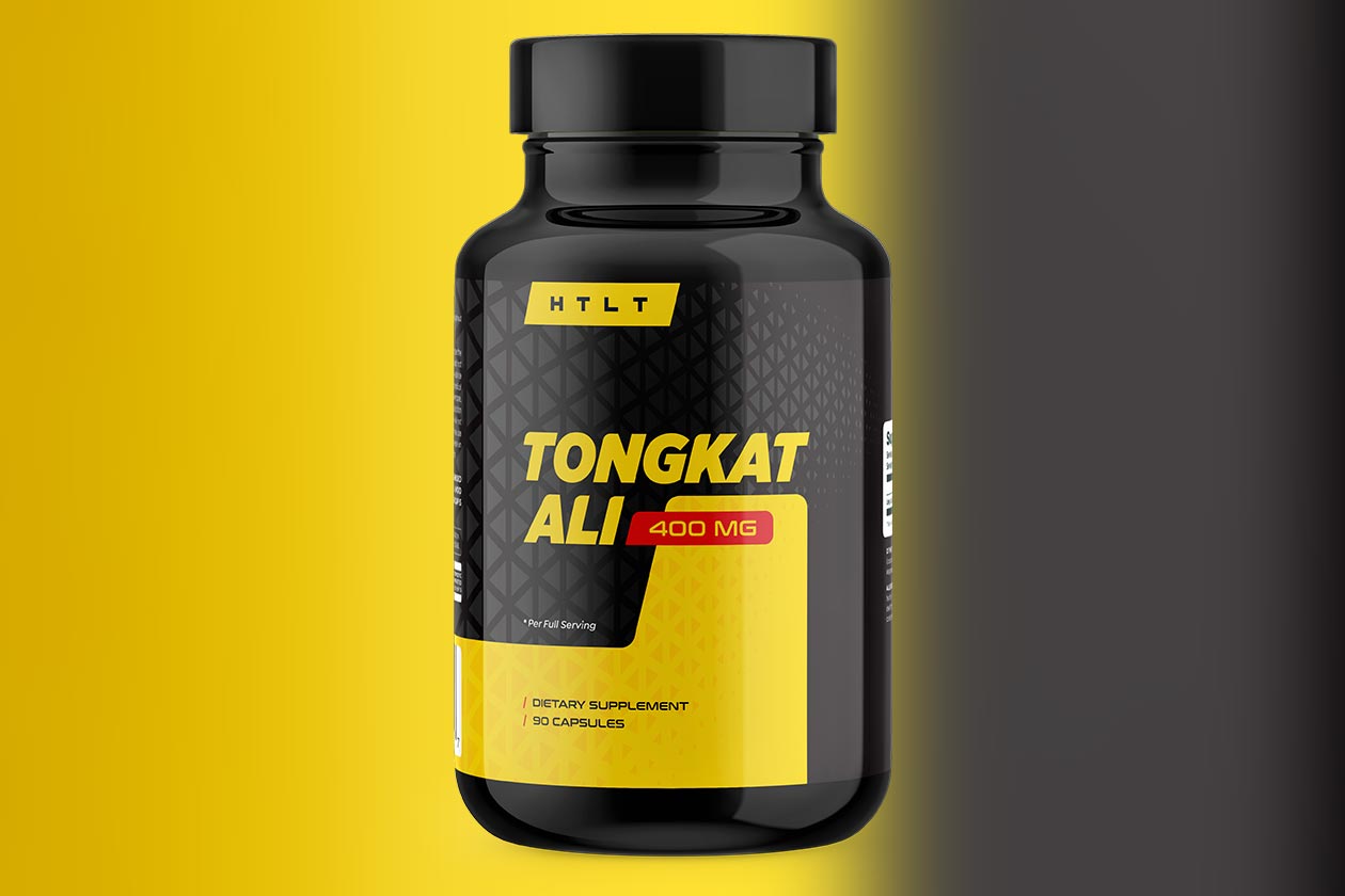 Htlt Tongkat Ali