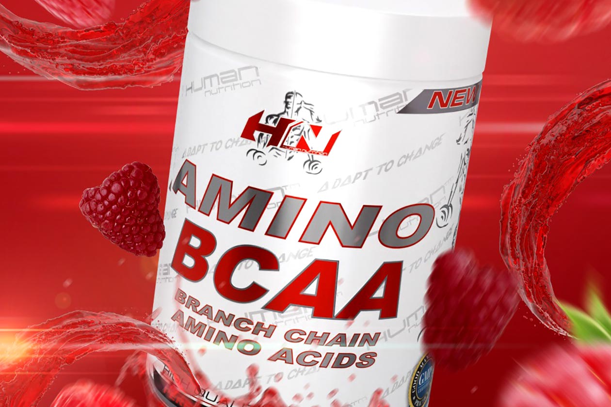 Human Nutrition Amino Bcaa