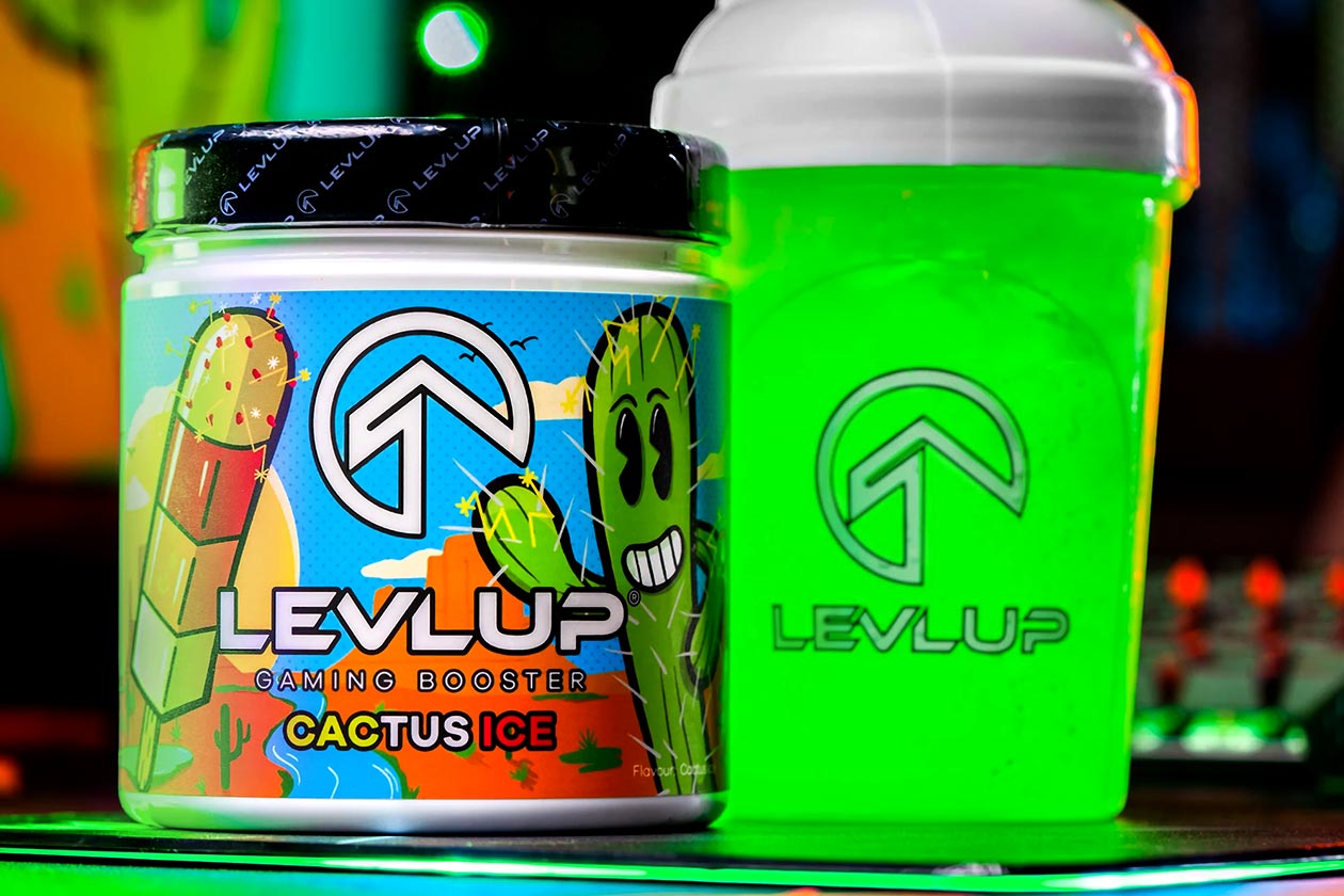 Levlup Cactus Ice Gaming Booster