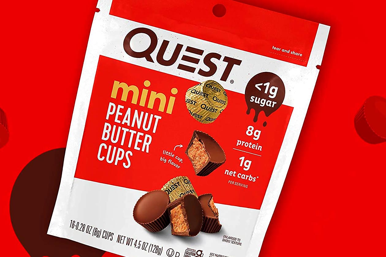 Quest Mini Peanut Butter Cups