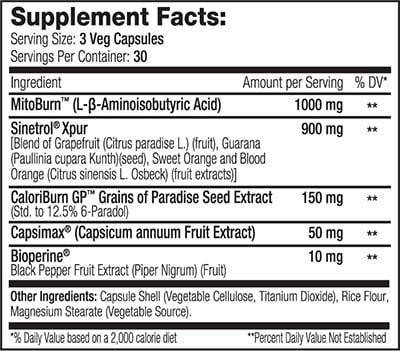 Sns Thermo Scorch Label