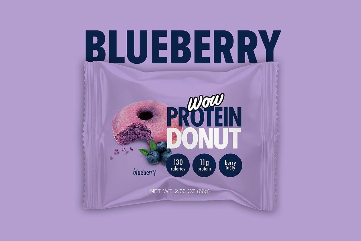 Blueberry Wow Protein Donut