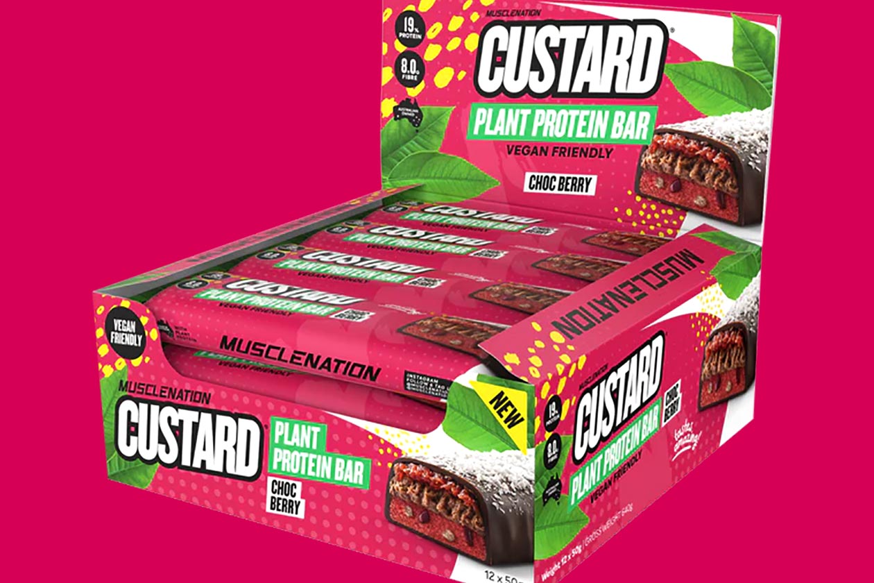 Mucsle Nation Chocolate Berry Custard Plant Protein Bar