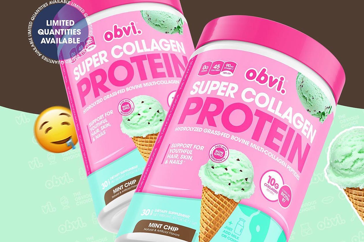 Obvi Mint Chip Super Collagen Protein