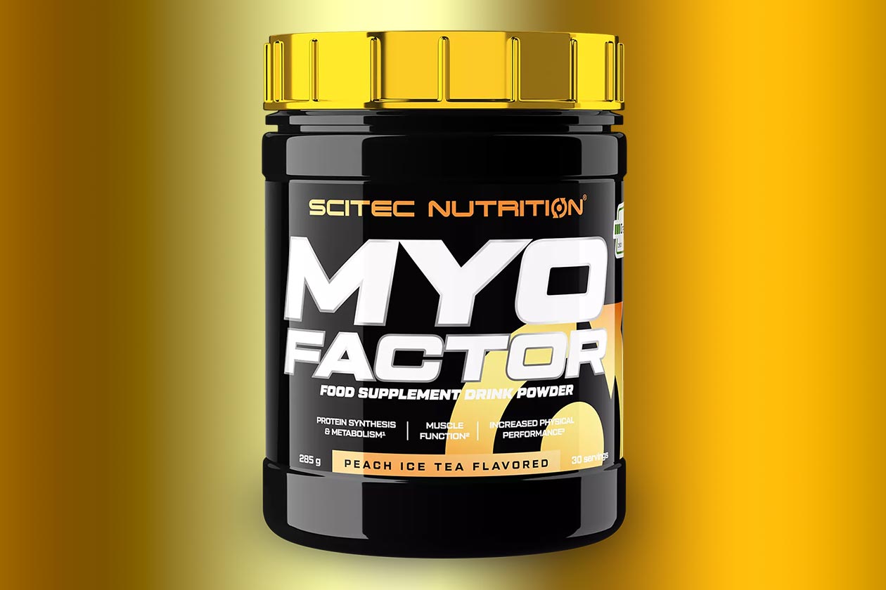 Scitec Nutrition Myofactor