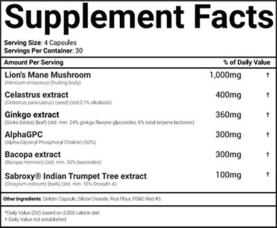 Morphogen Nutrition Morphobrain Label