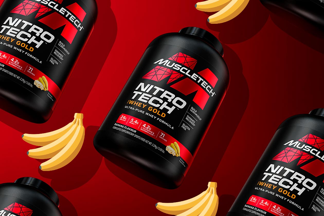 Muscletech Banana Nitro Tech Whey Gold