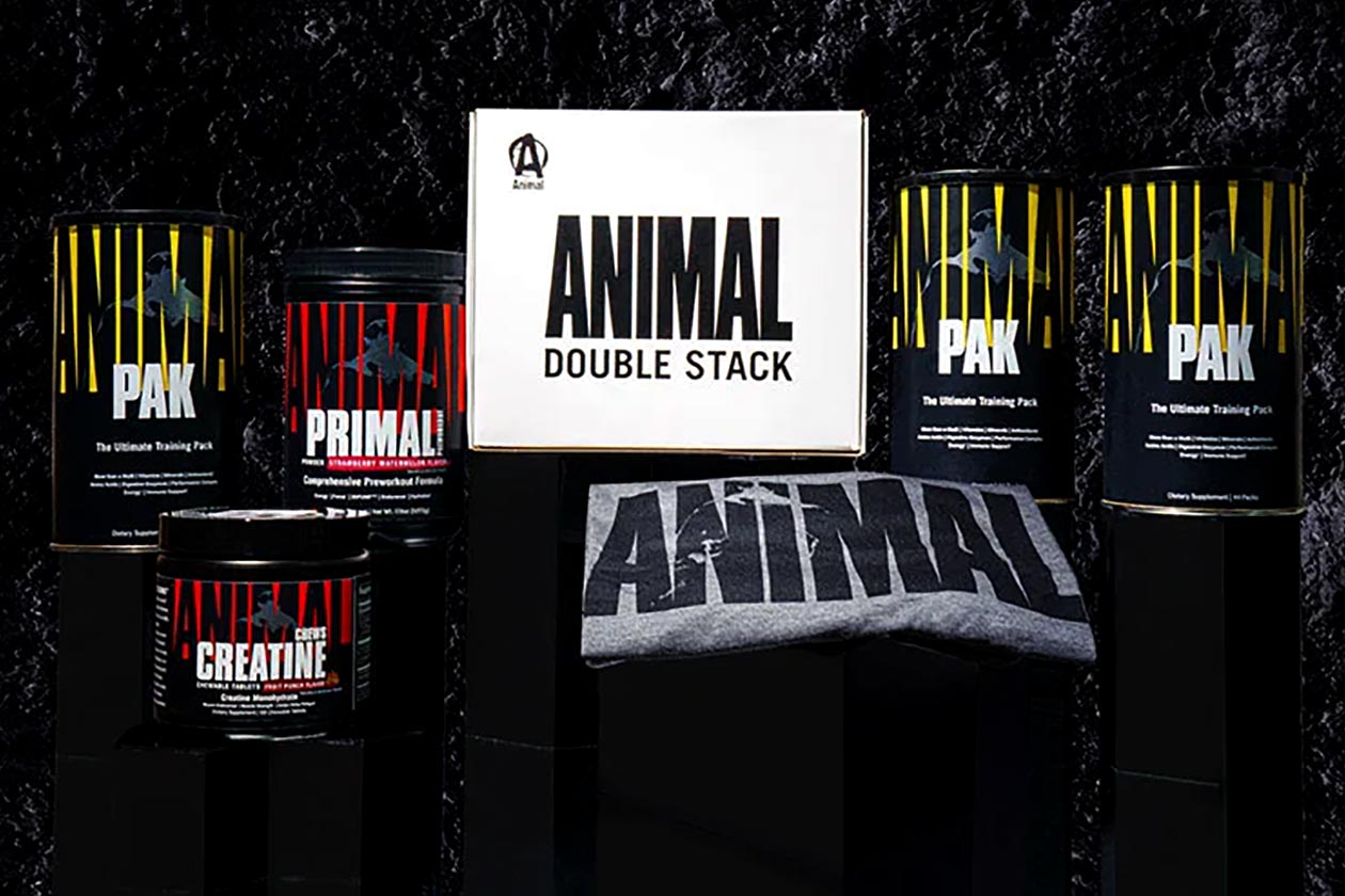 Animal's limited and discounted Holiday Gift Boxes for Christmas