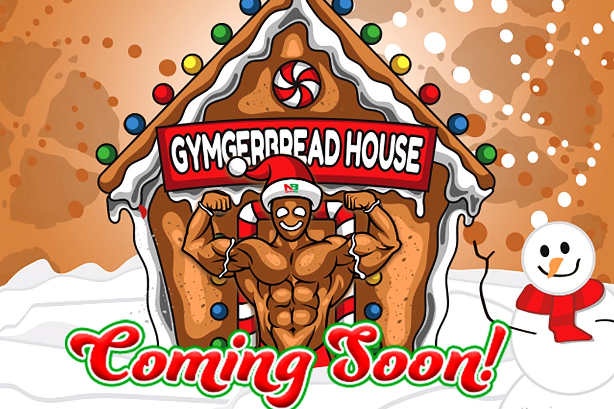 Nutrabio Gymgerbread House Protein Powder